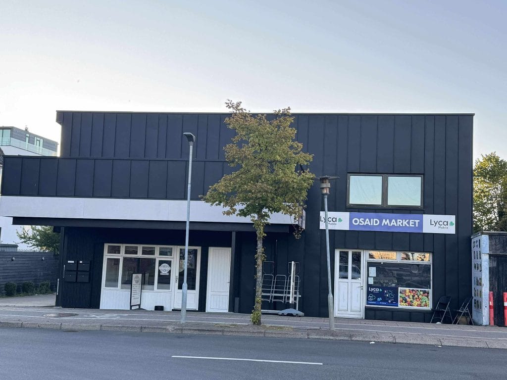 Blikkenslagerarbejde i Kolding udført af Vejenblik – referencefoto 3